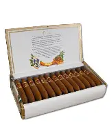 Cuaba Divinos 庫阿巴 聖地