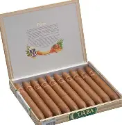 Cuaba Salomon II Commemorative Release Salomon II 庫阿巴 所羅門2號紀念保濕盒