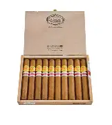 Diplomaticos Edicion Regional Phoenicia Regional Edition Series Genios  2025年外交官 腓尼基地區限量 天才