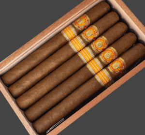 EI Rey del Mundo Lonsdales  世界之王 朗斯代爾