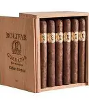 Bolivar Palmitas  玻利瓦爾 棕櫚樹