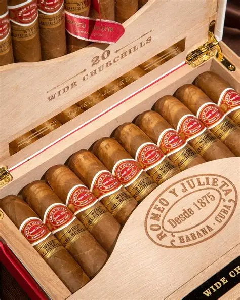 Festival del Habano 2025 Romeo y Julieta Humidor  2025古巴雪茄節 羅密歐與朱麗葉 收藏保濕櫃