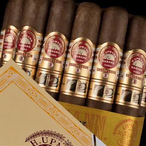 H.Upmann Connossieur B  烏普曼 鑒賞家B